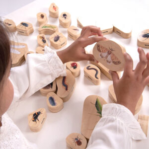 Wooden Mini Beast Blocks