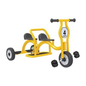 Wisdom Tandem Trike
